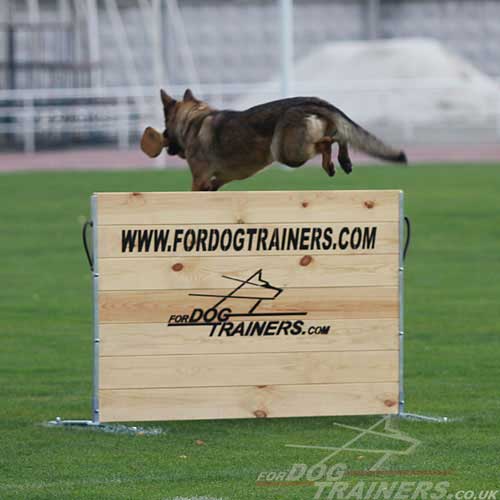 schutzhund dog training jump